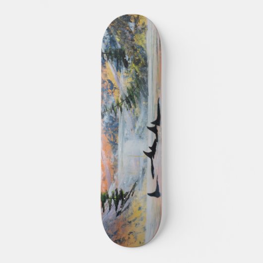 Orca-Skateboard Skateboard (Vorderseite)