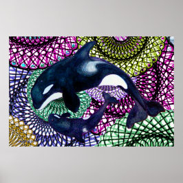 Orca-Stamm Poster