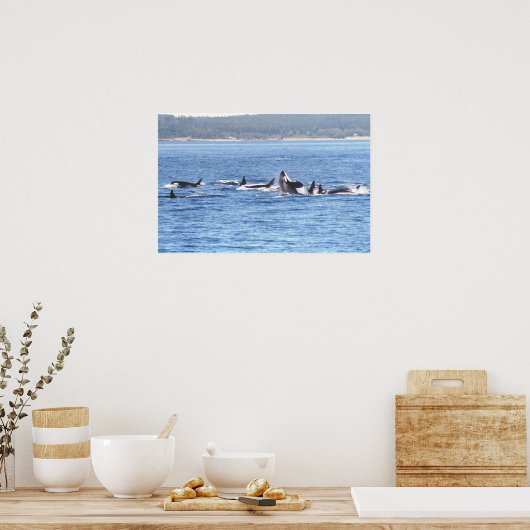 Orca Superpod Gerahmt Print Poster (Küche)