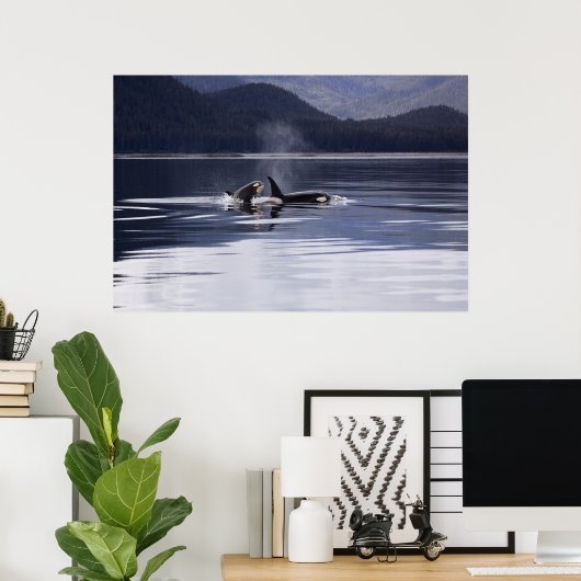 Orca | Tödliche Wale brechen Poster (Heimbüro)