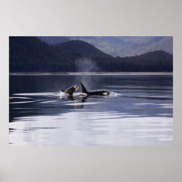 Orca | Tödliche Wale brechen Poster
