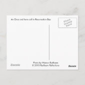 Orca und Kalb, Alaska Postkarte (Rückseite)