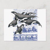 Orca Vintage Map II Postkarte (Vorderseite)