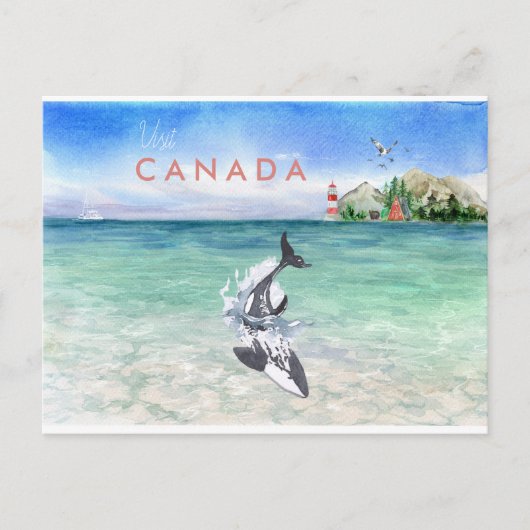 Orca | Vintage Travel Canada Post Card Postkarte (Vorderseite)