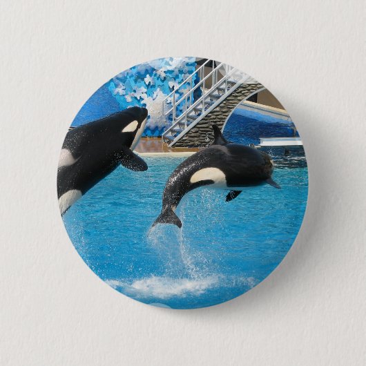 Orca-Wal-Button Button (Vorderseite)