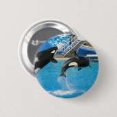 Orca-Wal-Button Button (Vorne & Hinten)