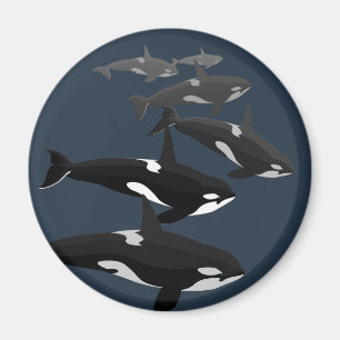 Orca-Wal-Frischhalte-Magnet Schwertwal-Kunstmagnet Magnet