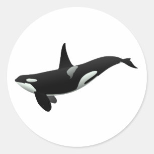 Orca Wal Illustration - Hintergrundfarbe auswähle Runder Aufkleber