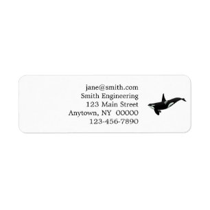 Orca Wal Illustration - Hintergrundfarbe auswählen