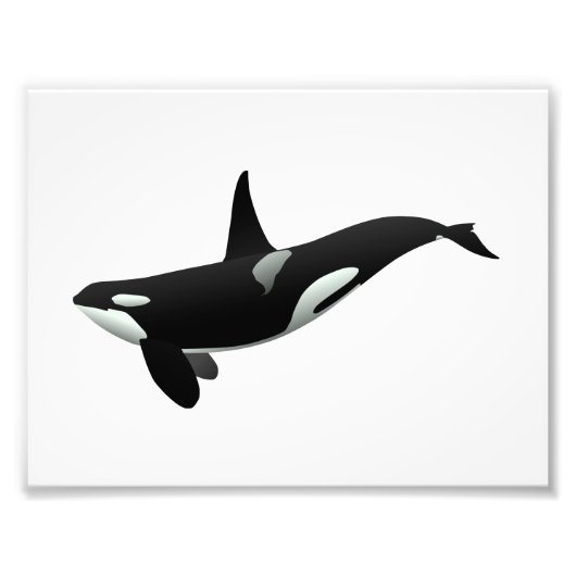 Orca Wal Illustration - Hintergrundfarbe auswählen Fotodruck (Vorne)