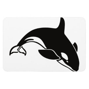 Orca-Wal-Wasser-FriedensLiebe-Natur-Schicksal Magnet