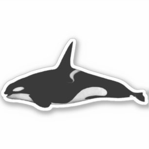 ORCA WALE AUFKLEBER