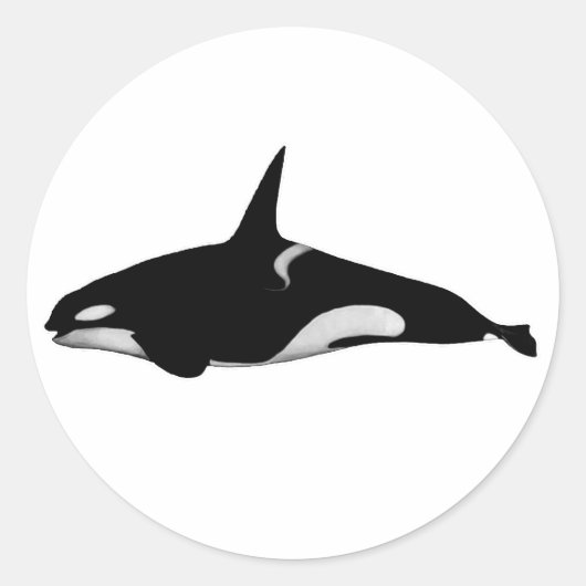 ORCA WALE RUNDER AUFKLEBER (Vorderseite)