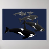Orca Whale Art Poster Killer Whale Art Prints Gesc (Vorne)
