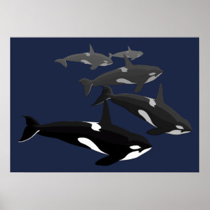 Orca Whale Art Poster Killer Whale Art Prints Gesc