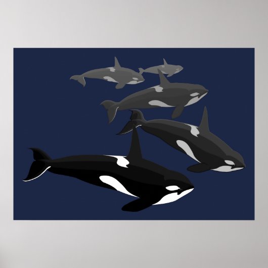 Orca Whale Art Poster Killer Whale Art Prints Gesc (Vorne)