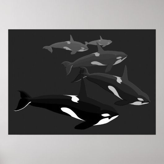 Orca Whale Art Poster Killer Whale Printed Canvas (Vorne)