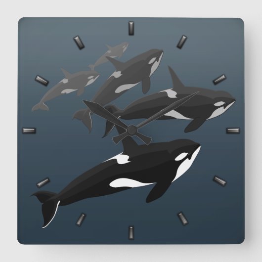 Orca Whale Clock Killer Whale Decke Whale Geschenk Quadratische Wanduhr (Vorderseite)