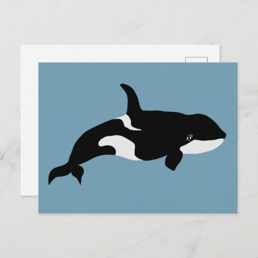 Orca Whale Illustration Cetacea Postkarte (Vorne/Hinten)