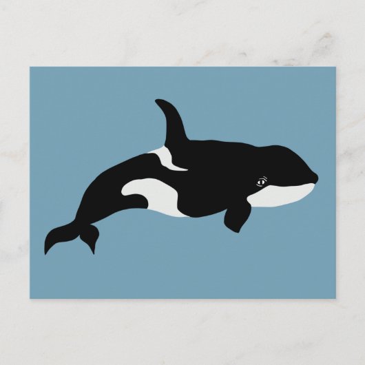 Orca Whale Illustration Cetacea Postkarte (Vorderseite)
