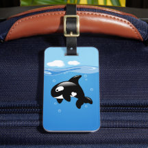 Orca Whale im Ozean