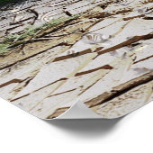 Orca Whale in einem Flasche Naturwall Poster (Ecke)