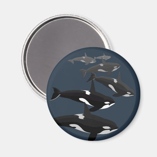 Orca Whale Kühlschrankmagnet Killer Whale Art Magn (Vorderseite/Rückseite)