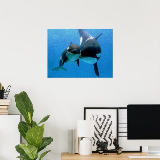 Orca Whale mit Kalb Poster (Heimbüro)