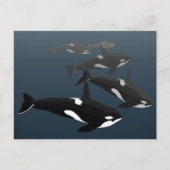 Orca Whale Postkarten Benutzerdefinierte Killer Wh (Vorderseite)