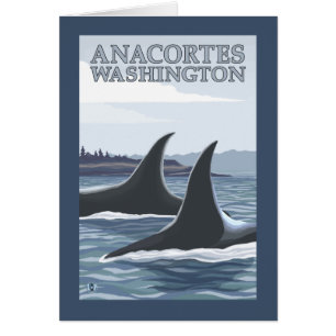 Orca Whales #1 - Anacortes, Washington