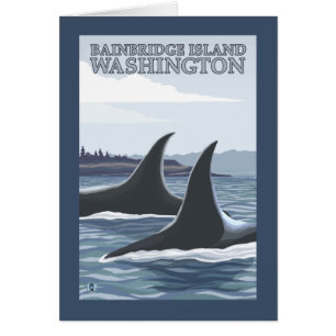 Orca Whales #1 - Bainbridge Island, Washington
