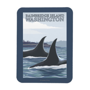 Orca Whales #1 - Bainbridge Island, Washington Magnet