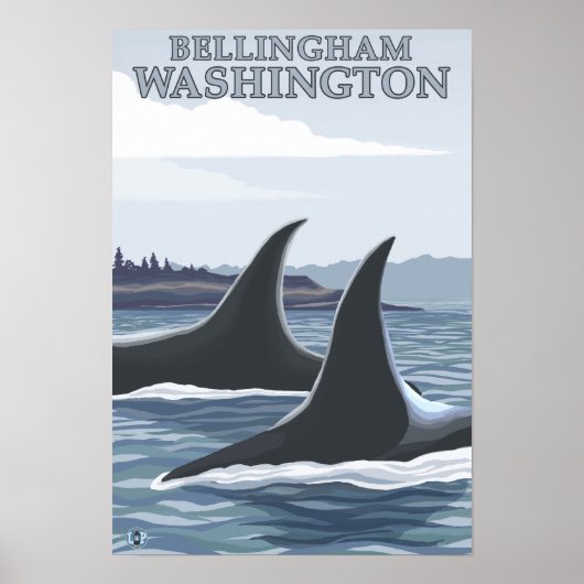 Orca Whales #1 - Bellingham, Washington Poster (Vorne)