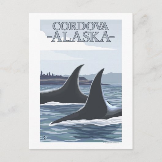 Orca Whales #1 - Cordova, Alaska Postkarte (Vorderseite)