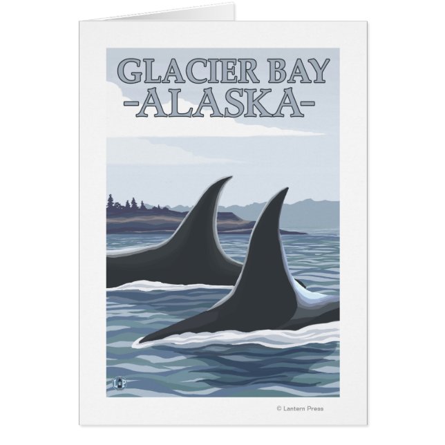 Orca Whales #1 - Glacier Bay, Alaska (Vorne)