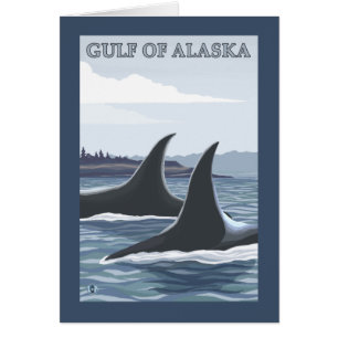 Orca Whales #1 - Golf von Alaska