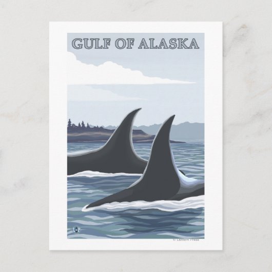 Orca Whales #1 - Golf von Alaska Postkarte (Vorderseite)