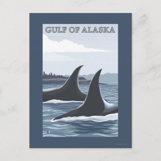 Orca Whales #1 - Golf von Alaska Postkarte (Vorderseite)