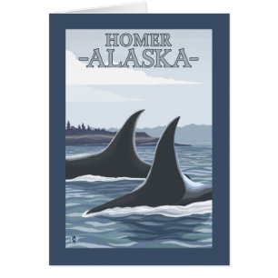 Orca Whales #1 - Homer, Alaska