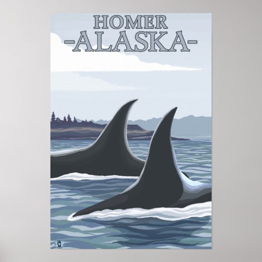 Orca Whales #1 - Homer, Alaska Poster (Vorne)