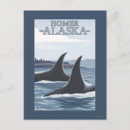 Orca Whales #1 - Homer, Alaska Postkarte (Vorderseite)