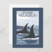 Orca Whales #1 - Homer, Alaska Postkarte (Vorne/Hinten)
