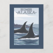 Orca Whales #1 - Homer, Alaska Postkarte (Vorderseite)