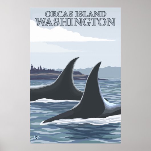 Orca Whales #1 - Orcas Island, Washington Poster (Vorne)