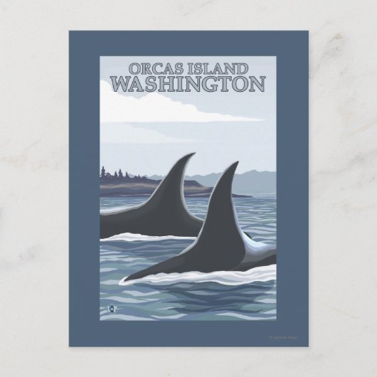 Orca Whales #1 - Orcas Island, Washington Postkarte (Vorderseite)