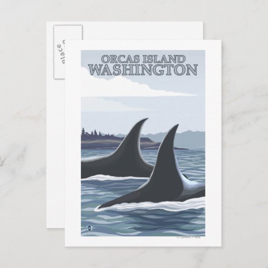 Orca Whales #1 - Orcas Island, Washington Postkarte (Vorne/Hinten)