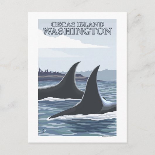 Orca Whales #1 - Orcas Island, Washington Postkarte (Vorderseite)