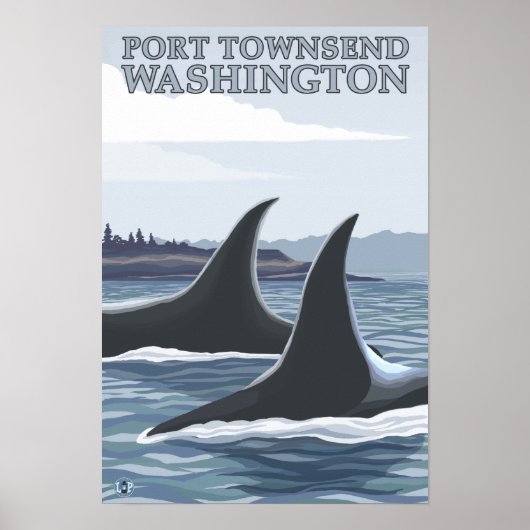 Orca Whales #1 - Port Townsend, Washington Poster (Vorne)