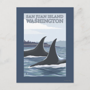 Orca Whales #1 - San Juan Island, Washington Postkarte