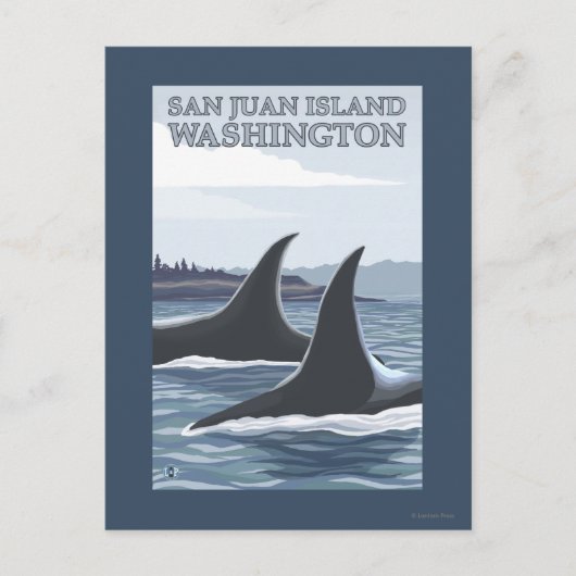 Orca Whales #1 - San Juan Island, Washington Postkarte (Vorderseite)